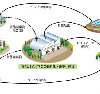 食品廃棄物の循環モデルのイメージ（あいち地域循環圏形成プランより）