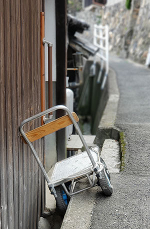 島民の必需品　オンバ