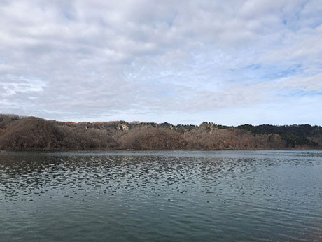 沙流川と里山