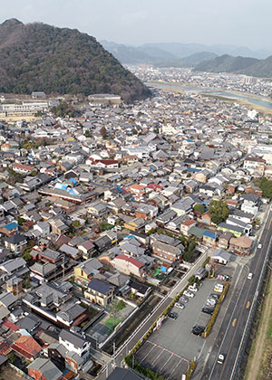 地区の全景