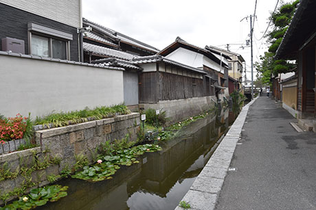水郷の面影を残す御領(大東市)