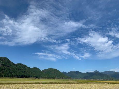 丹波市の自宅近くから見る風景