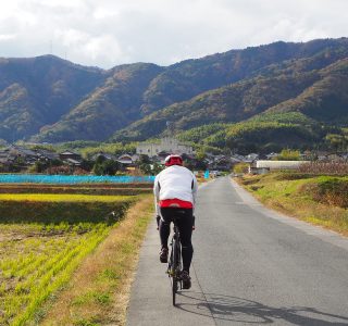 洛西・大原野の田園風景を走る参加者