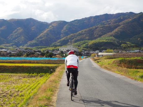 洛西・大原野の田園風景を走る参加者