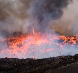 山焼きの火が大きくなり竜巻が起きた様子