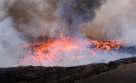 山焼きの火が大きくなり竜巻が起きた様子