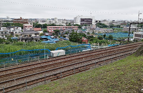 梨畑が広がる稲城市の風景（中央右寄りの白い建物が市役所）