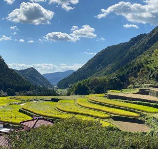 日本の棚田百選に選ばれた熊本県山鹿市の番所の棚田（撮影　山道未貴）