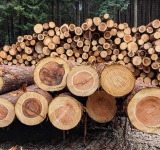 森林整備と活用を進める六甲山材