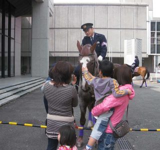 京都府庁旧本館；マルシェで平安騎馬隊に 来てもらった。こどもたちが大よろこび。