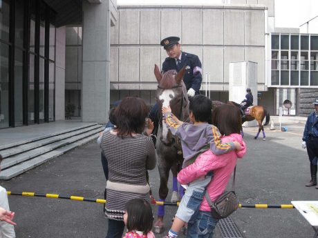 京都府庁旧本館;マルシェで平安騎馬隊に 来てもらった。こどもたちが大よろこび。