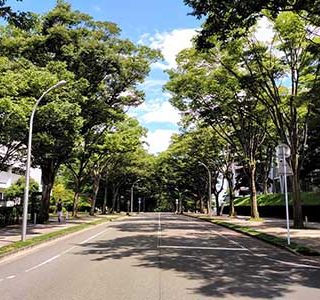 研究室のある青葉山キャンパス