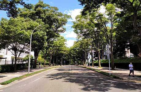 研究室のある青葉山キャンパス