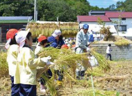 農業体験イベント