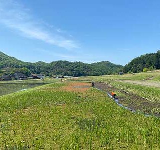 休耕田を活用したビオトープ