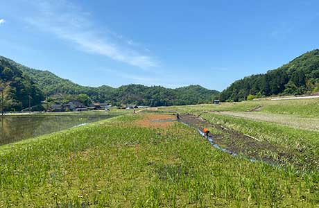 休耕田を活用したビオトープ