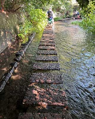 三島のまちを巡る水（水路）