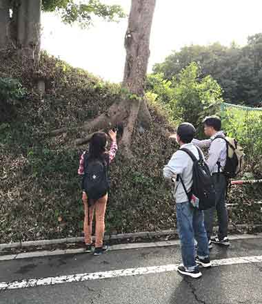 普段は通り過ぎるだけの道で、樹木に目を向ける