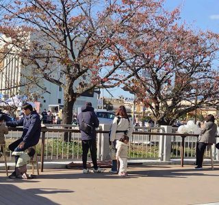 公共空間での過ごし方・使い方をもっと豊かに