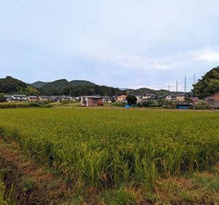 良好な農地と隣接する集落地