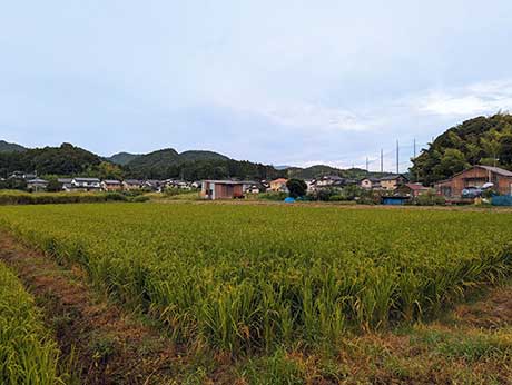 良好な農地と隣接する集落地