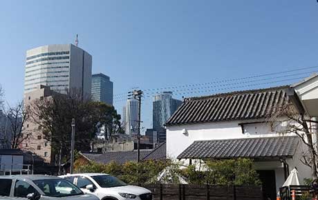 名駅超高層ビル群と四間道の蔵、神社の御神木
