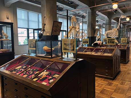 東京大学とのコラボによる博物館(東京)