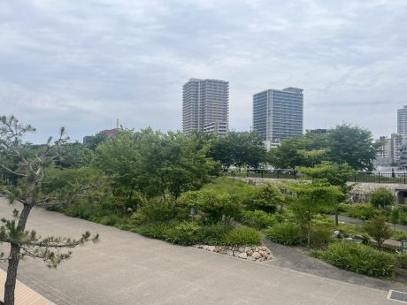 緑が広がり、近隣にお住まいの方にとっては庭のような存在。周辺にマンションも増えました