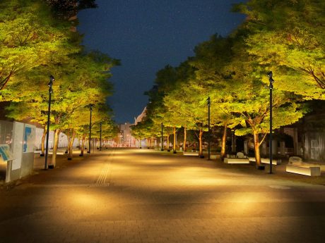 港に向かう通路のケヤキのライトアップイメージ