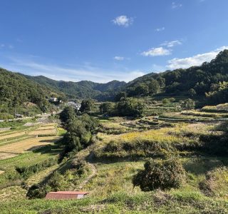 奈良県明日香村　棚田の風景